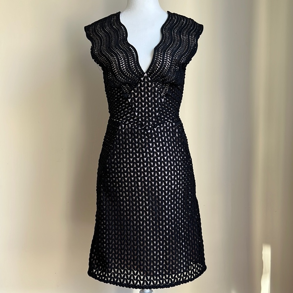 Reiss Marianna Lace Fit and Flare Dress